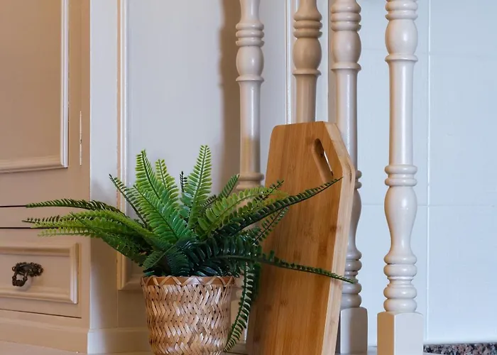 Ah El Corazon De Corrida Vut4786as * 希洪