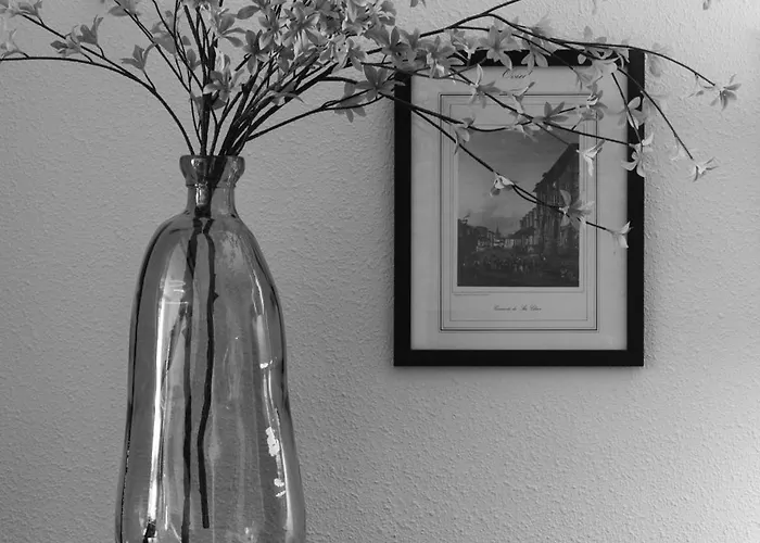 公寓 Ah El Corazon De Corrida Vut4786as 希洪